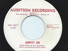 RARE HENRY THOME 45RPM '69 'JUMPITY JIM GARAGE SOUNDING ARIZONA  FOLK ROCK VG++