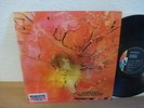 MOTHERHOOD SAME LP IN 1972 DOLDINGER KRAUTROCK 1ST PRESS