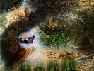 PINK FLOYD- A SAUCERFUL OF SECRETS LP- REMASTERED ON HEAVYWEIGHT 180G VINYL