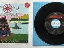 Big Country Wonderland Rare Japan 7in Diff PS Skids