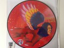 DAVID BOWIE The Man Who Sold The World - LP / Picture Vinyl - RSD 2016 (limited)