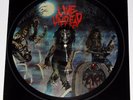SLAYER Live Undead Picture Disc LP Record 1985 Metal Blade MBR 1037 Thrash Metal