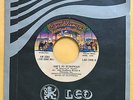 KISS shandi / she's so european RARE 45 EL SALVADOR PRESS PAUL STANLEY