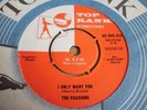 Nice Doo-Wop. The Passions 