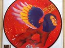 David Bowie - The Man Who Sold The World - LP Picture Disc - RSD 2016