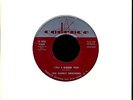 THE EVERLY BROTHERS / ('TIL) I KISSED YOU 