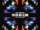 Walk The Moon You Are Not Alone Live At The Greek RSD 2016 vinyl LP