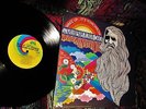 NICE 1967 ORIG = WAKE UP = THE STRAWBERRY ALARM CLOCK   Garage Psych ACID POP