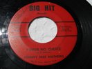 JOHNNY MAE MATHEWS I HAVE NO.../THAT'S.. BIG HIT TZ 105 (G-) Detroit Northern 45