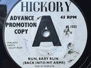 NEWBEATS - Run Baby Run - HICKORY DEMO '65