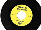 Tonto & The Renegades Garage 45 Fenton Back from The Grave Little Boy Blue
