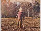 ALLMAN BROTHERS BAND: Brothers and Sisters USA Capricorn GF Vinyl LP NM