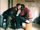 Best Of Gypsy Brass - FANFARE CIOCARLIA [LP]