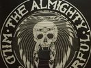 The Almighty Wild and Wonderful 12