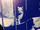 SUPER CRAZY UK LIBRARY HEAT DRAMA LOOPS INTENSE HORNS KILLER GUTTER LISTEN HEAR