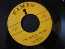 RAY VERNON TERRY 45 RECORD I'M COUNTIN ON YOU CAMEO 115