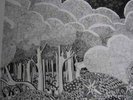 Shide & Acorn/Under the Tree/LP vinyl record/ss