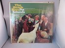 The Beach Boys Pet Sounds Record Vinyl LP Album T2458
