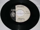 Rare Rockabilly/ Bobby Roberts And The Ravons/