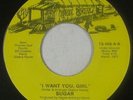 Sweet Soul 45 - Sugar - I Want You Girl - True Soul - VG+ mp3