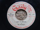 RARE The Wisdoms Lost in Dreams b/w Two Hearts 45 on Gaity. MN Doo Wop 50's