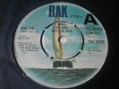 THE HOOD - YOU NEVER CAN TELL (CHUCK BERRY) - RAK 7