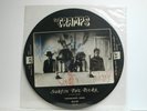 The Cramps - Surfin' The Dark, Promotional Copy Picture Disc, 1984 Stereo LP