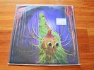 The Flaming Lips 2013 Wayne Coyne autograph 12