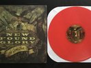 New Found Glory - Not Without a Fight - Red Vinyl LP /500 - Bridge Nine Records