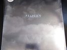 PELICAN 