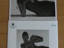 Grace Jones La vie en rose Flexi Picture Disc With Picture Sleeve Poland