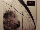 PEARL JAM Vs. LP Epic Rec 88697843131 US 2011 M SEALED RE-ISSUE 00G