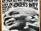 Arthur “Big Boy” Crudup – Look On Yonder’s Wall – Delta Blues Vinyl LP – Delmark
