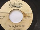 RARE UNKNOWN GARAGE PUNK ACETATE 45/ THE STERLING 
