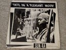 RARE Sun Ra Free Jazz Fate in Pleasant Mood Original Saturn SR99562B 1965 VG