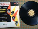 VPI Cleaned VG+ Original The Chiffons He's So Fine Laurie LLP 2018 LP