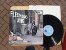 Fleetwood Mac,Peter Green's Fleetwood Mac,Original mono first pressing,LP