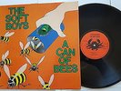 THE SOFT BOYS - A Can of Bees 1979 PSYCH NEW WAVE Robyn Hitchcock (LP)