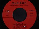 RUSSELL BROTHERS: Cupid / Lifetime Diary 45 (2 sm label tears) rare Oldies