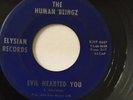 RARE OHIO GARAGE 45/ THE HUMAN BEINGZ 