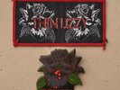 Vintage Thin Lizzy plastic pin & cloth badges  Black Rose rock  music band