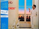 Rare Japanese 1982 Debut Album “NM Wax” F.R. David Words P-11311 Japan