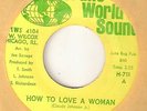 THE MANDELLS How To Love A Woman TRANS WORLD CHICAGO  NORTHERN SOUL 45