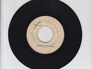 BLANK/ YOU GONNA LOSE ME  -  UNKNOWN  ( 69 SKINHEAD 7