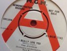 Stereos- I Really Love You (Rockin Doo Wop Demo)