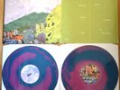 Person L The Positives Vinyl 2xLP Tour Press Pink/Purple /250 New, starting line