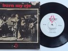 Radio Birdman - Burn My Eye 7