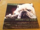 Dinosaur Jr. Whatever's Cool With Me 7