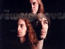 SEWERGROOVES Songs From The Sewer LP NEW LIMITED COLOR VINYL OUT OF PRINT OOP