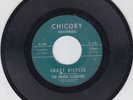 Higher Elevation 45 The Diamond Mine/Crazy Bicycle CHICORY psych garage
